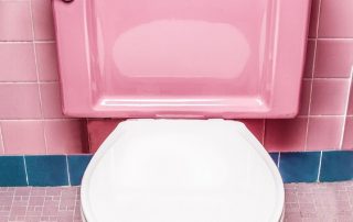 Toilet and Prolapse